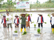 Wakil Ketua DPRD Provinsi NTB Hadiri Kegiatan Tanam Raya Varietas Padi Unggul Gamagora 7 dan Dialog Tani