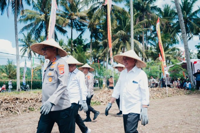 Tanam Jagung Serentak Kuartal IV Dalam Rangka Mendukung Swasembada Pangan Tahun 2025